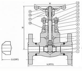 Z41H(bio)TlyY(ji)(gu)D